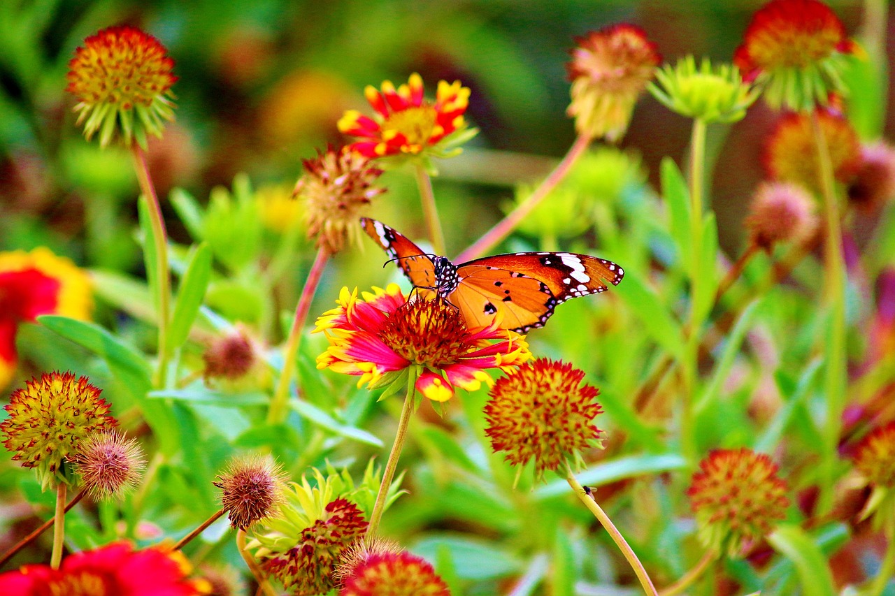 杜康张红军最新动态,携手探索未来,共创辉煌成就。