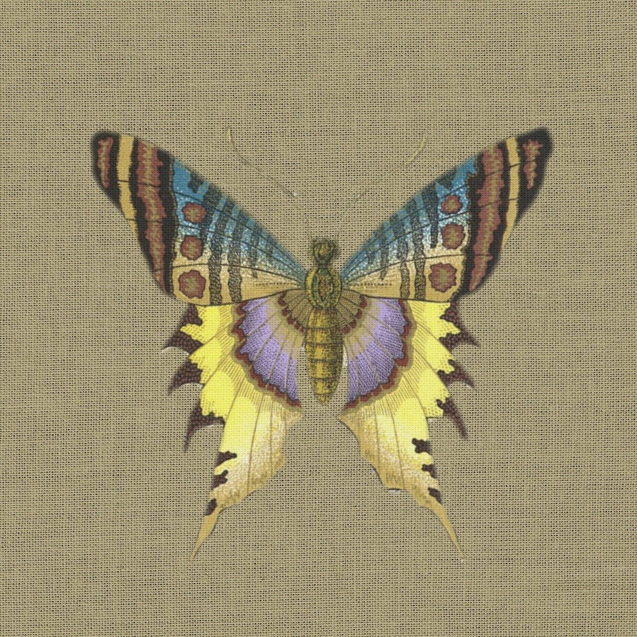 管家婆一码一肖100中奖,策略实用分析指南_动态版本GC4797.9183E