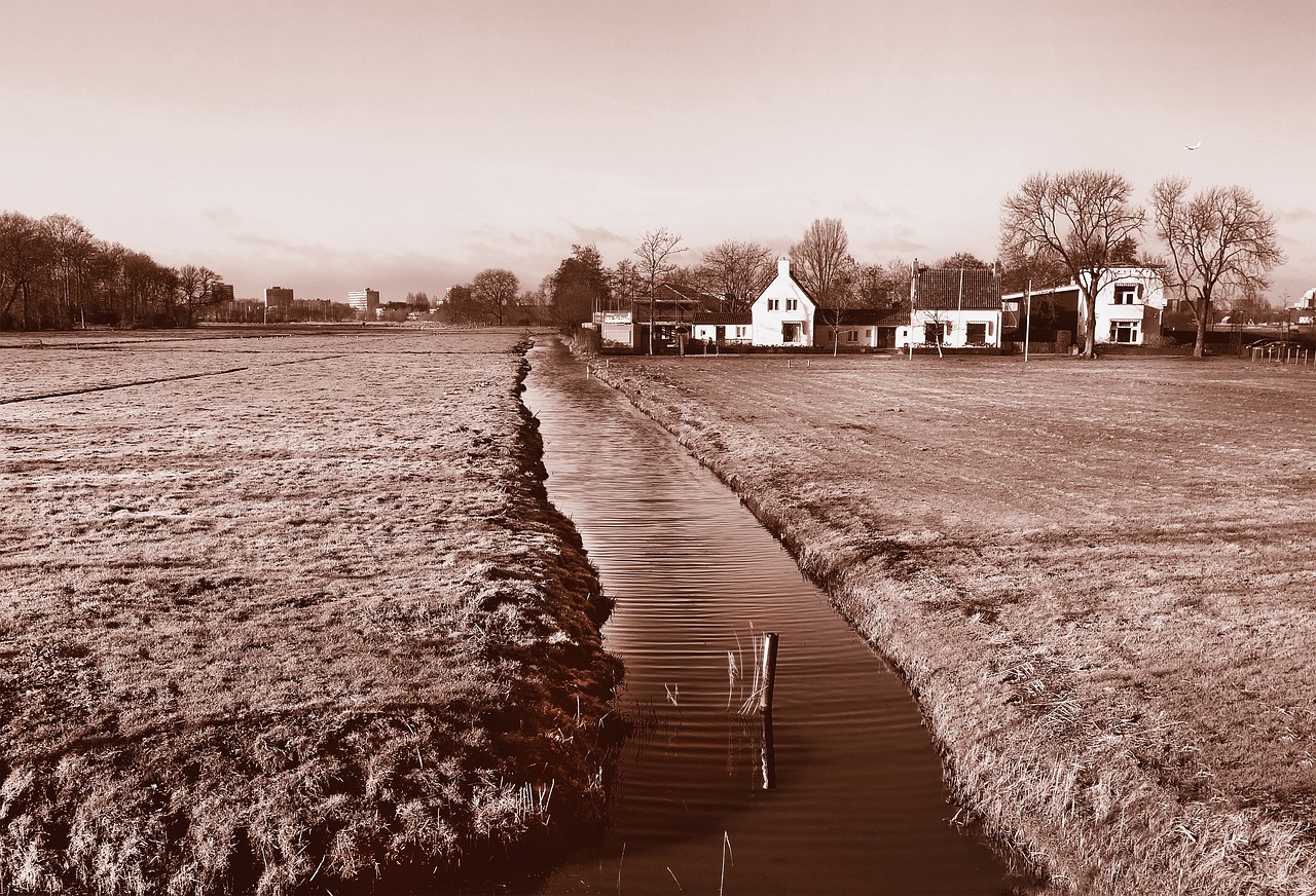 榕基软件股票最新消息综述发布,动态更新与行业洞察