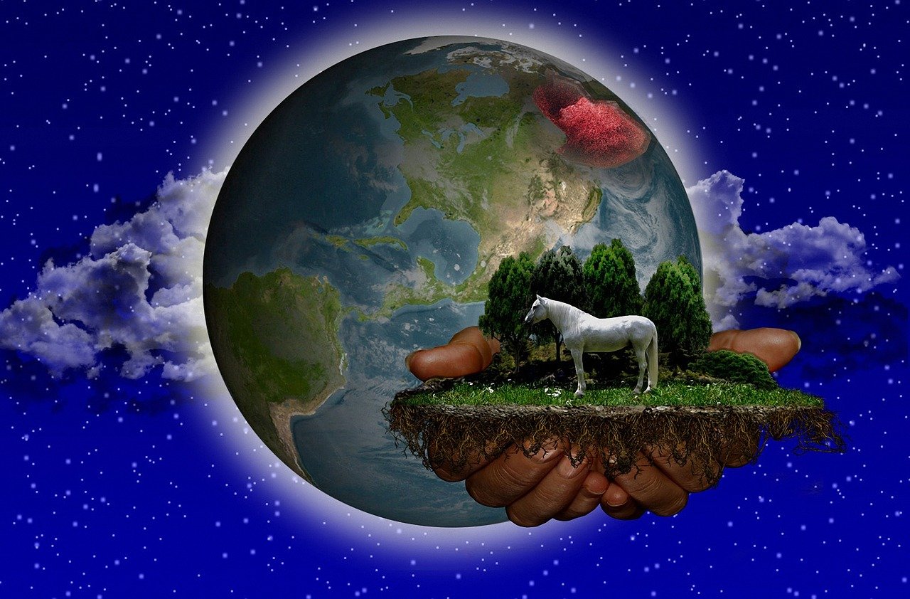 2024年今晚澳门特马,地球物理研究_“未来视角”41.15.15