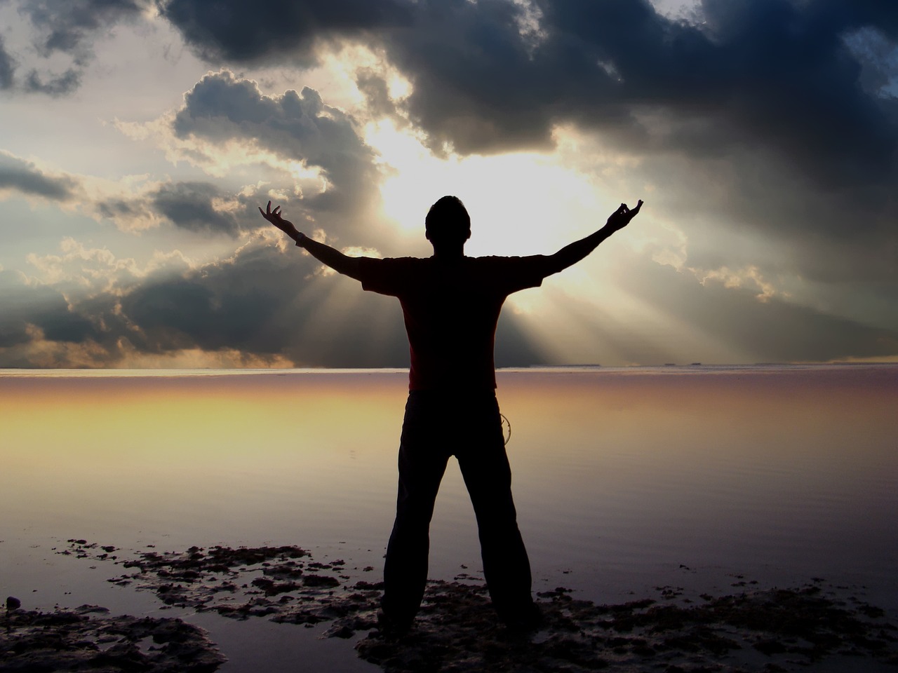 天天向上最新一期精彩预告,不容错过!