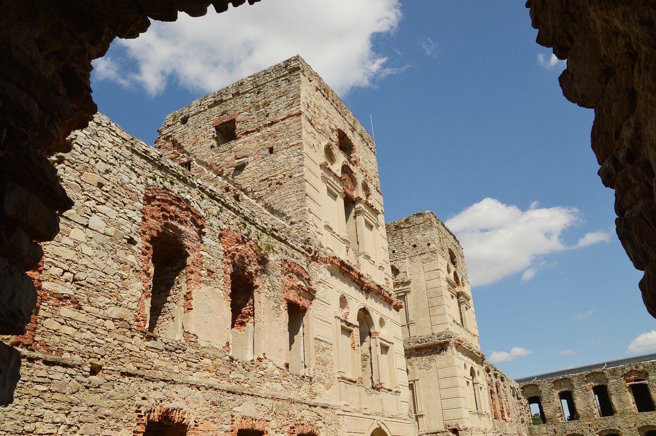 探索祖先最新排名,历史与文化的交融之旅揭秘祖先荣耀的历程