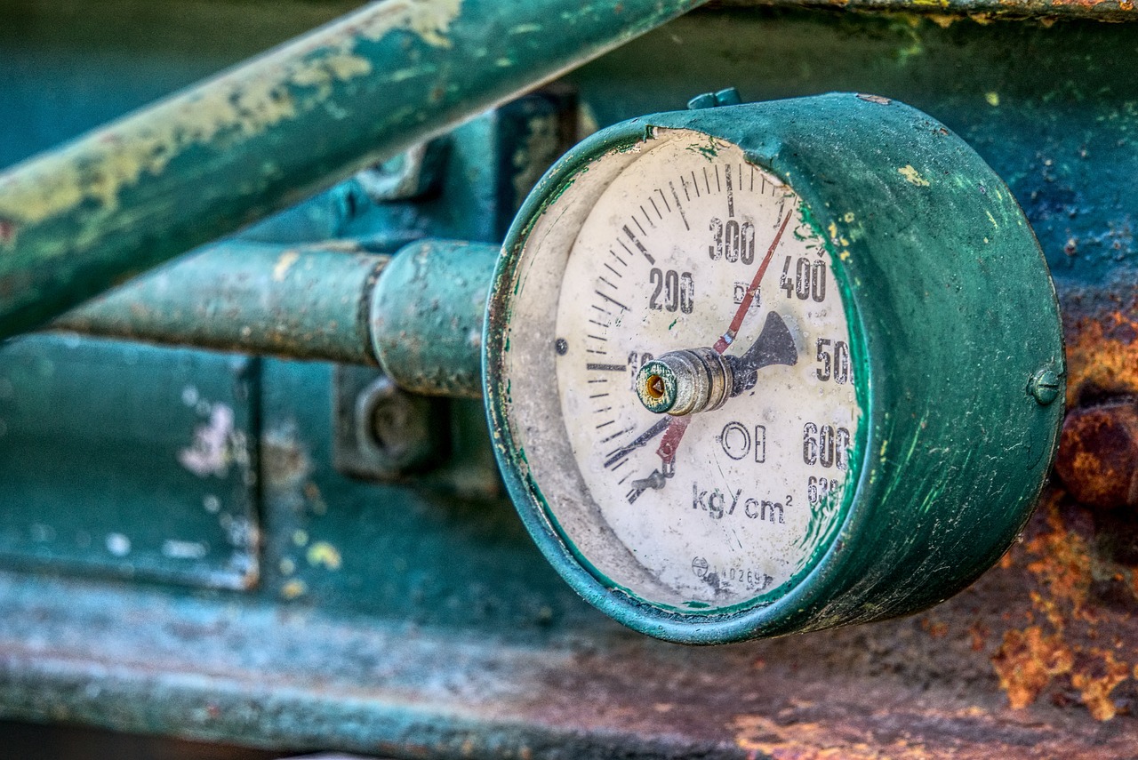 肇州最新新闻动态更新