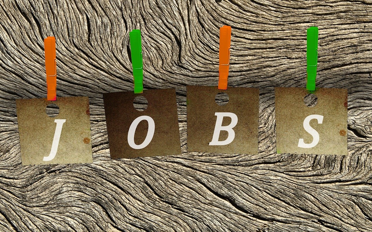 安徽求职招聘最新动态,职场新机遇与人才需求洞察