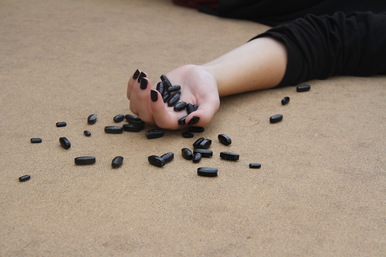 女主播直播揭秘,哈士奇最新动态展示