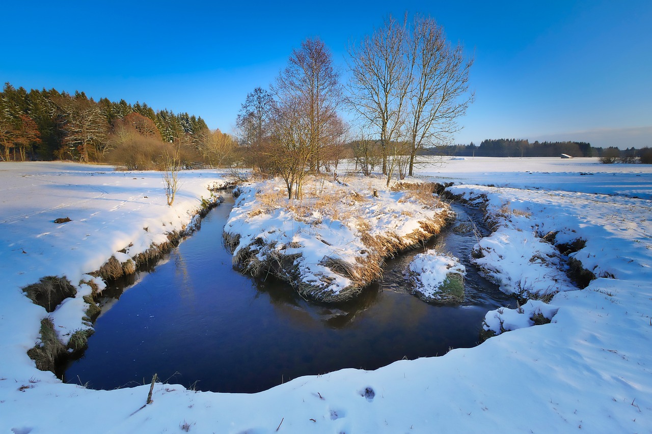 翁牛特旗最新招标公告详解及公告发布动态分析