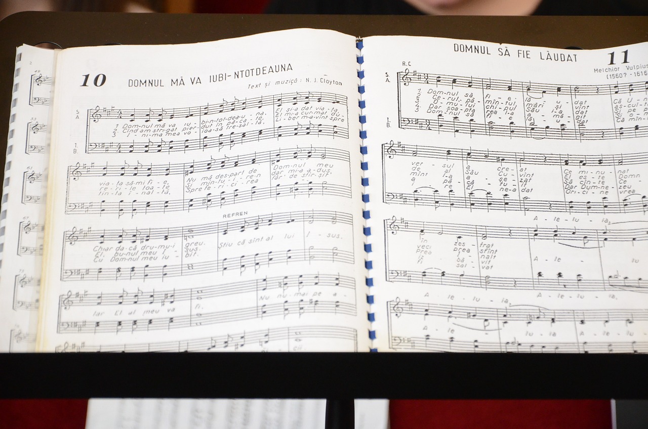 郭静最新歌曲,音乐之旅迈入新篇章