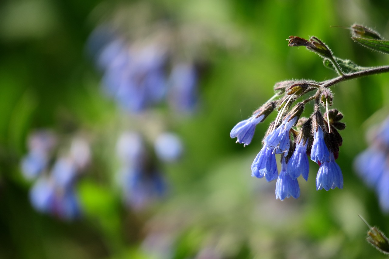 长岳高速进展顺利,助力区域经济发展,最新动态速递