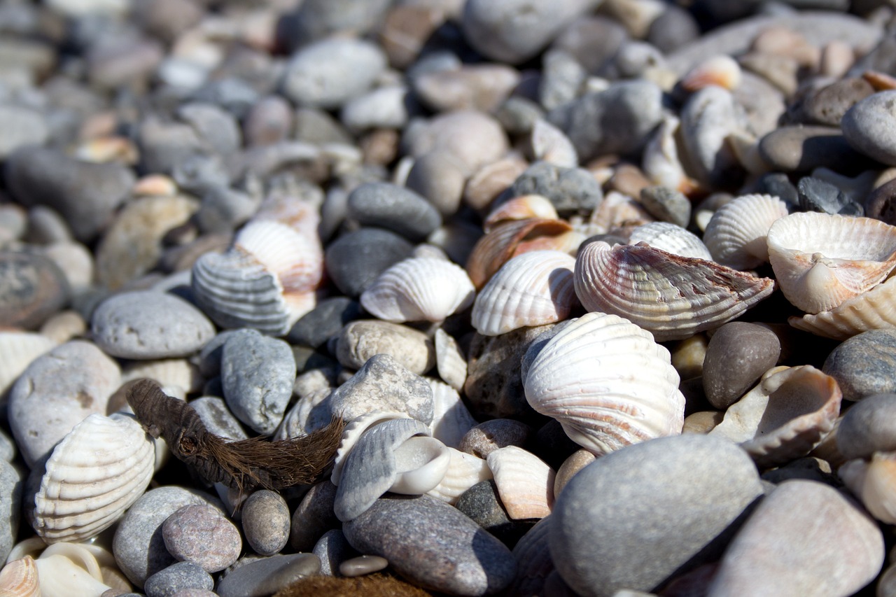 花甲之约日记,记录人生美好时光的瞬间