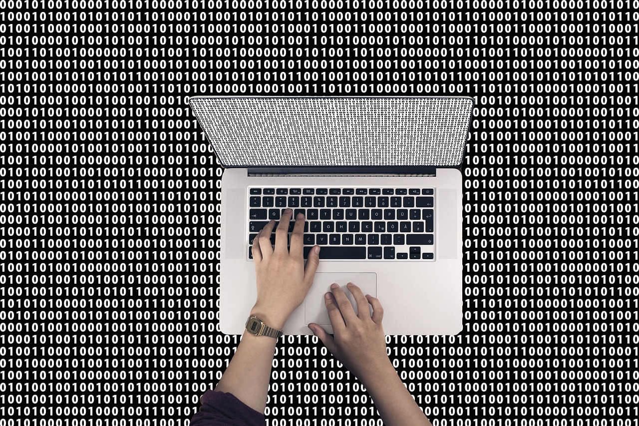 关于代码000155的最新消息全面解析与解读