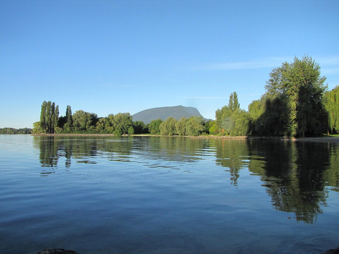 松江最新景点探秘,一览众景,美不胜收
