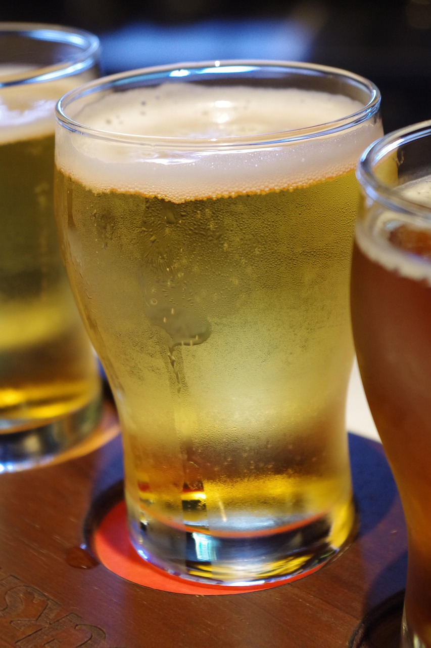 成都国际足球中心最新动态,迈向世界级的足球圣地进展揭秘