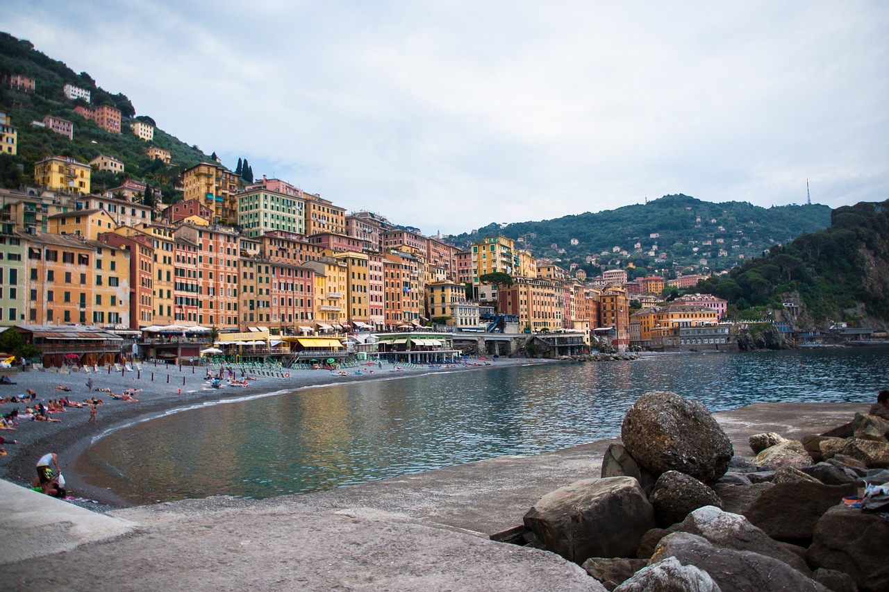 衡水阜城楼房最新价格动态与市场趋势深度解析