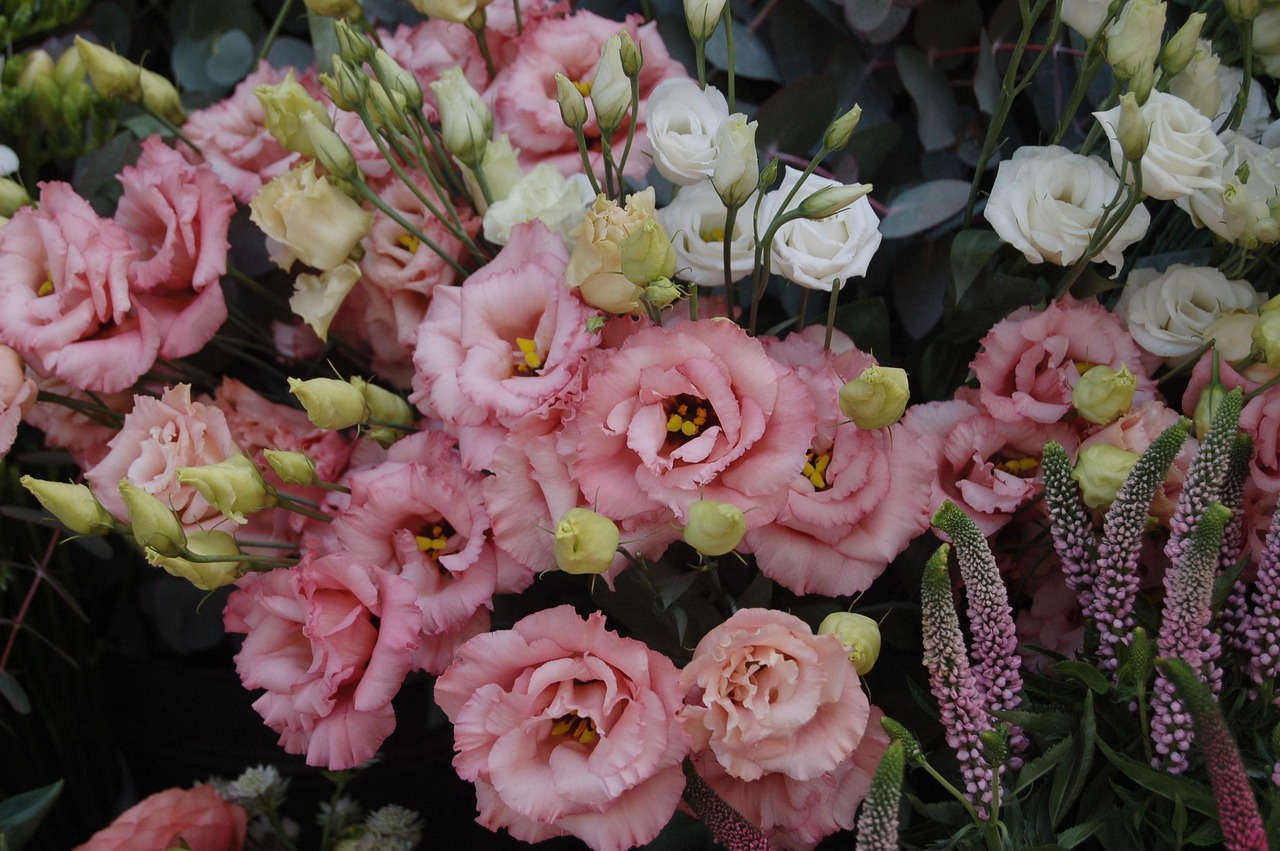 韩式花束图片大全,时尚与浪漫的完美融合