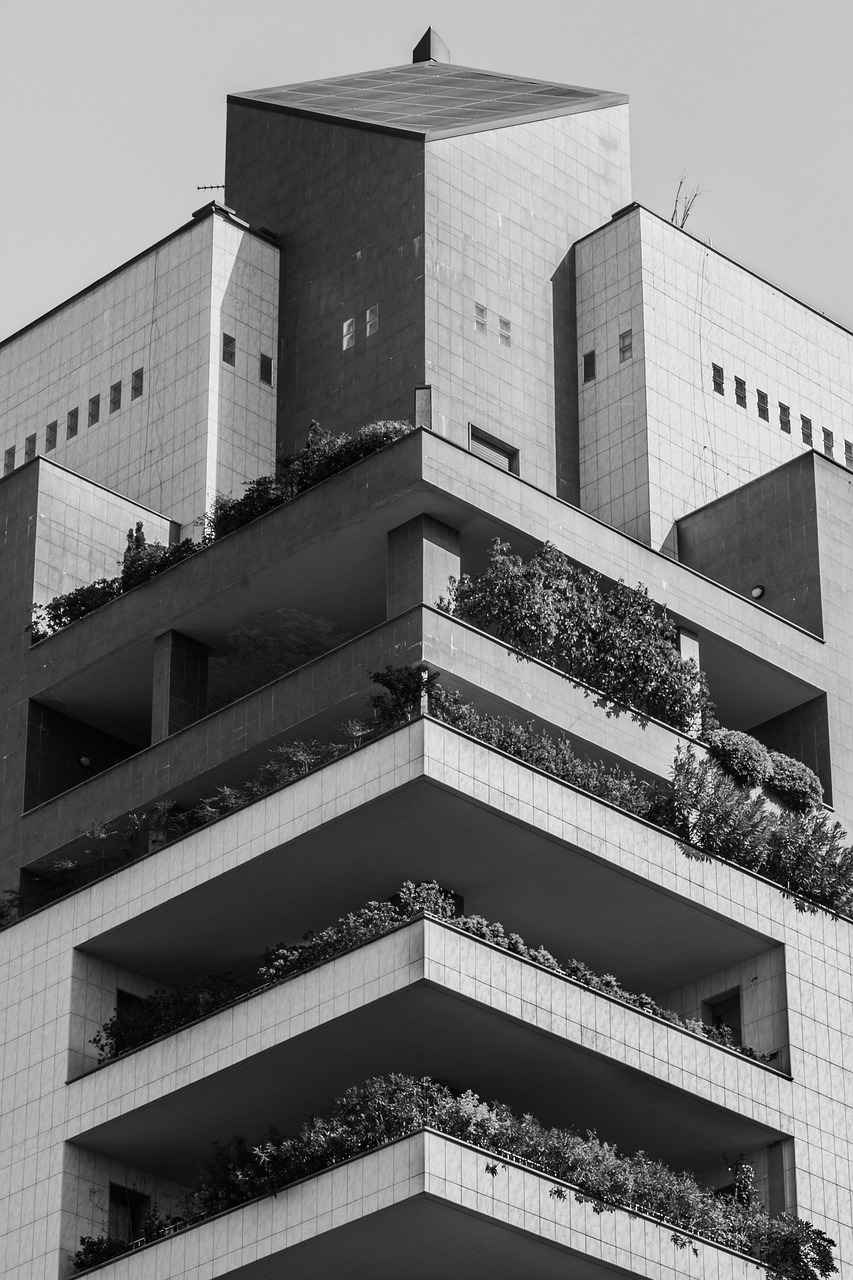 道林古镇建设最新动态,古镇焕新颜,传承与现代融合之美