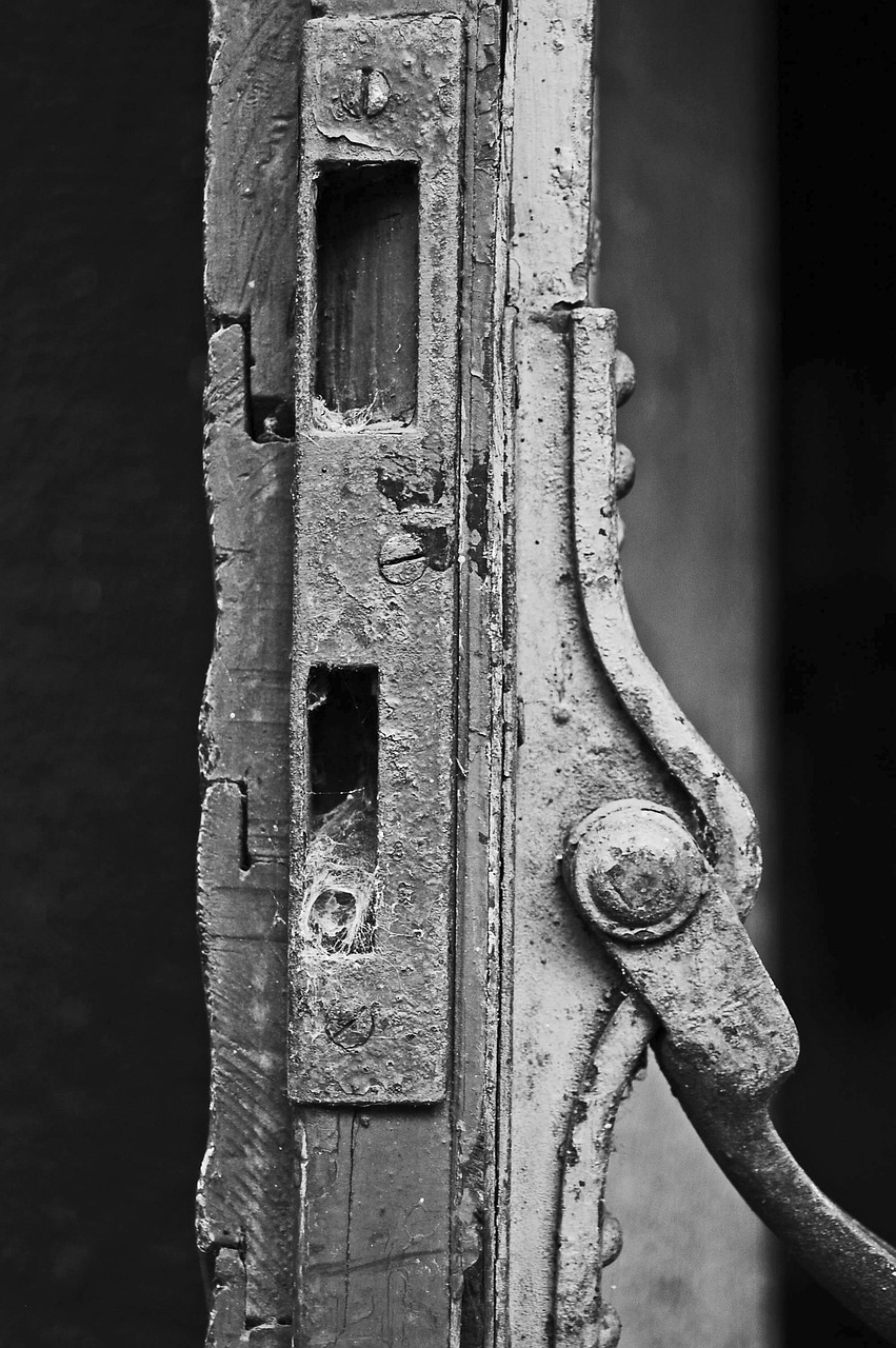 郑州启山中学迈向新时代的坚定前行最新动态