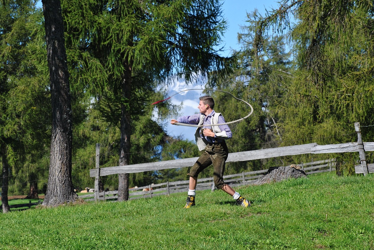 五月猫咪后院动态,生机盎然的猫咪盛宴