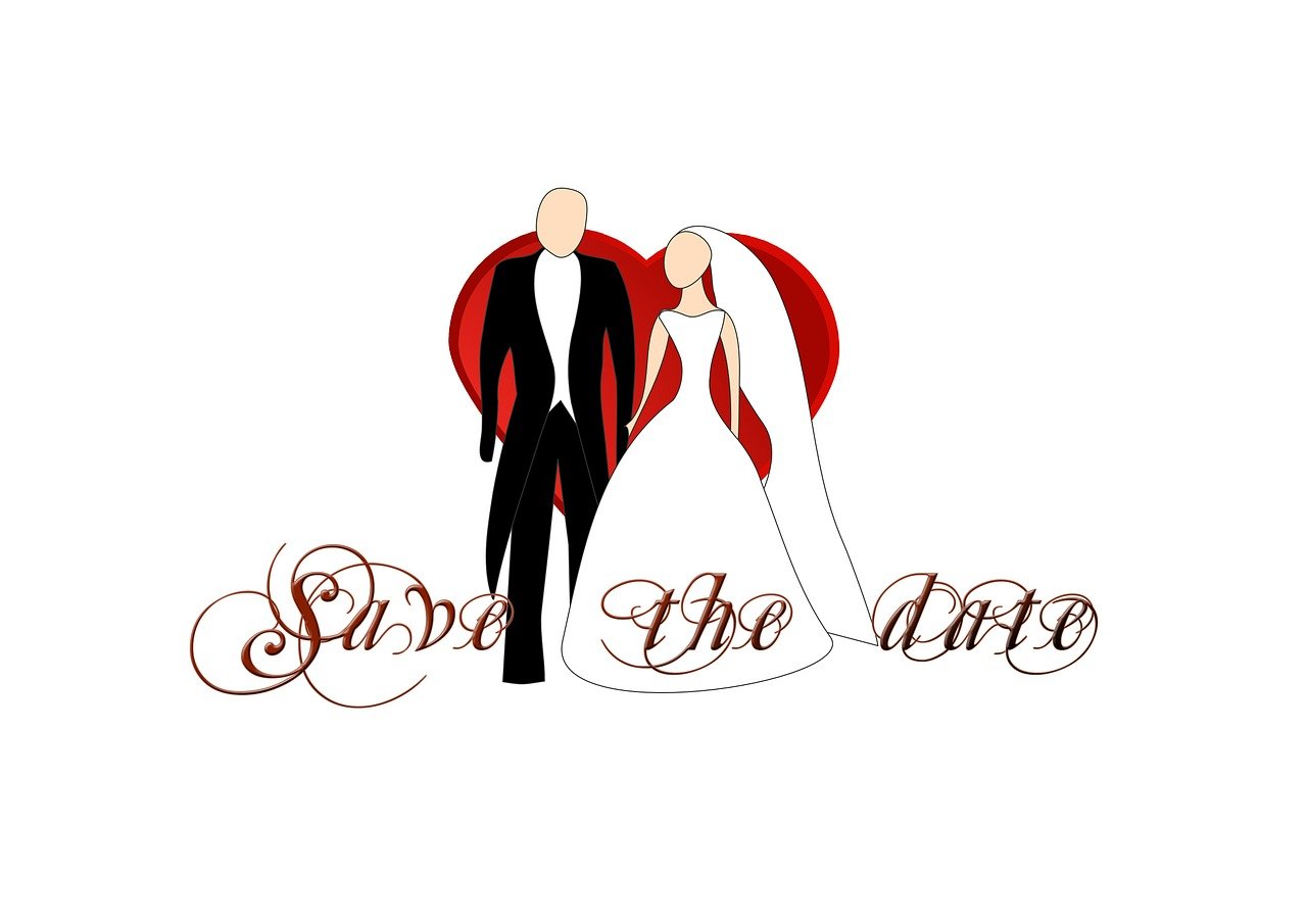 五月猫咪后院动态,生机盎然的猫咪盛宴