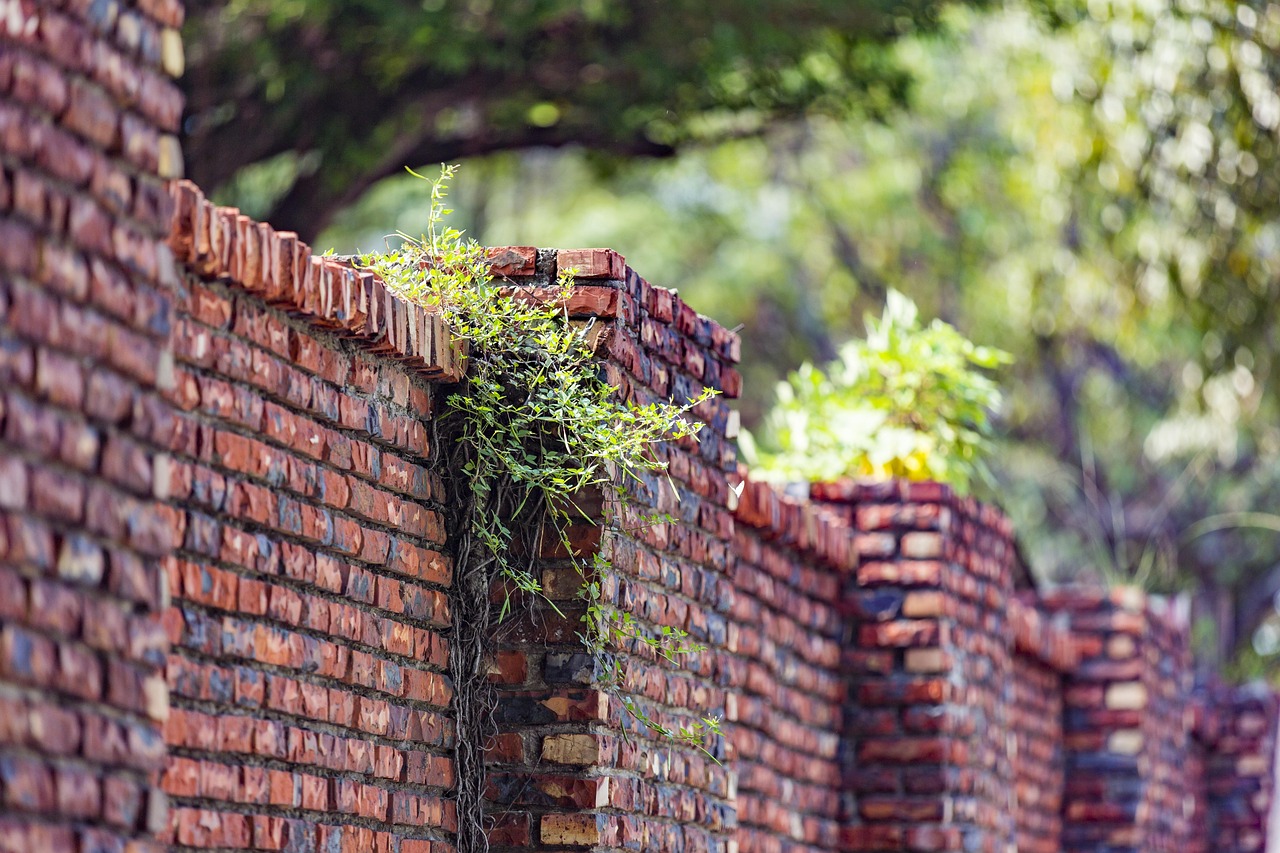 国土部五月动态,深化土地管理改革,推动生态文明建设新进展