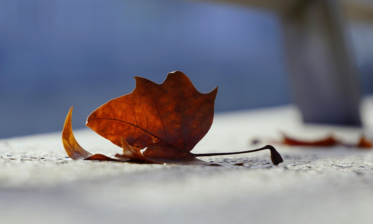 周宁火车站五月最新动态报告,五月最新进展与动态更新