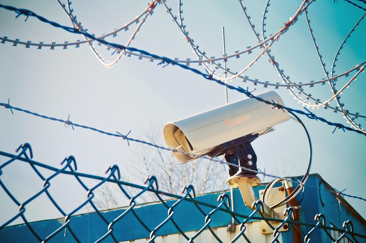 五月加州最新选举动态深度解析与观察