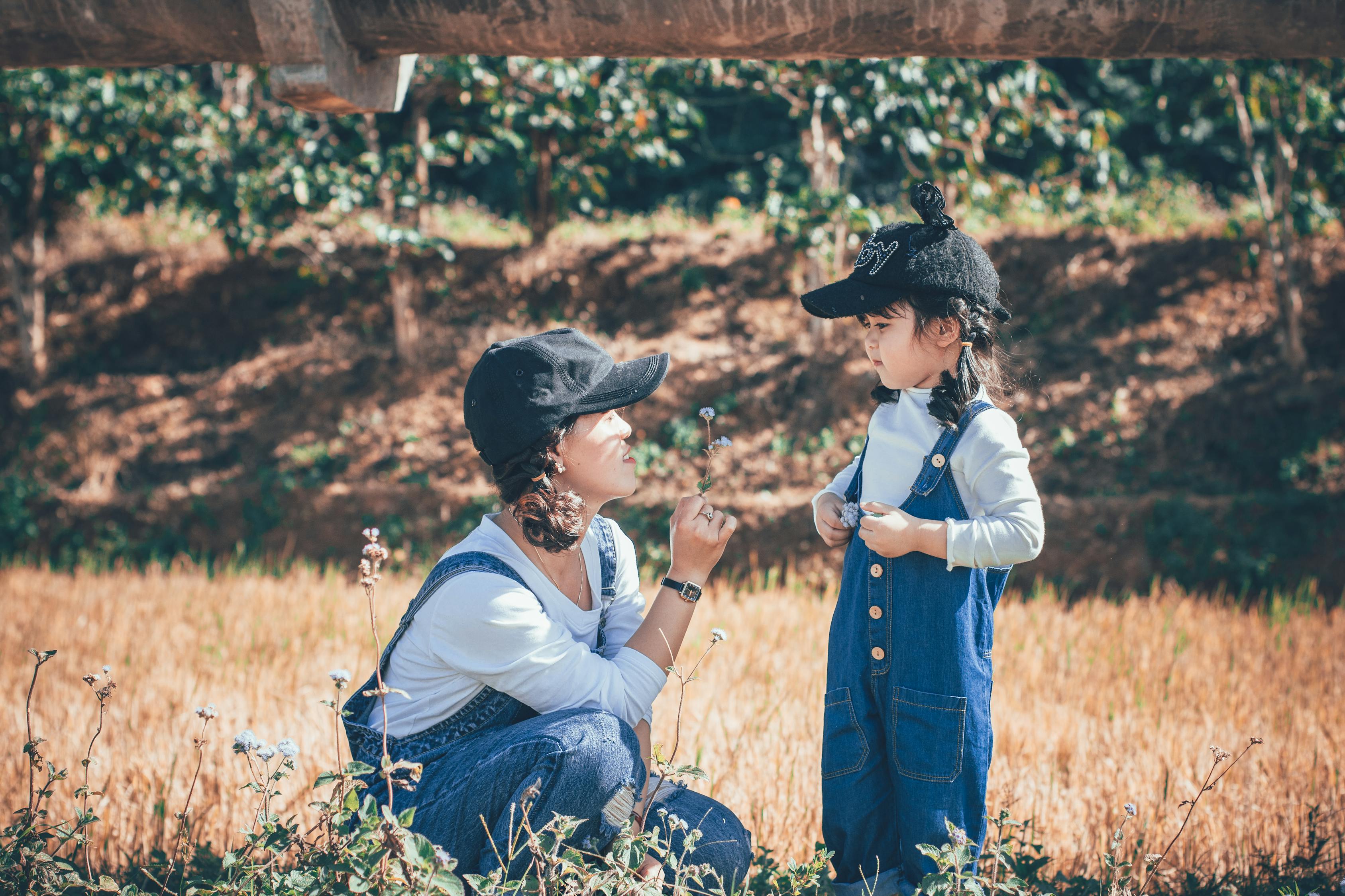 五月禁闭岛,令人深思的电影在线观看体验