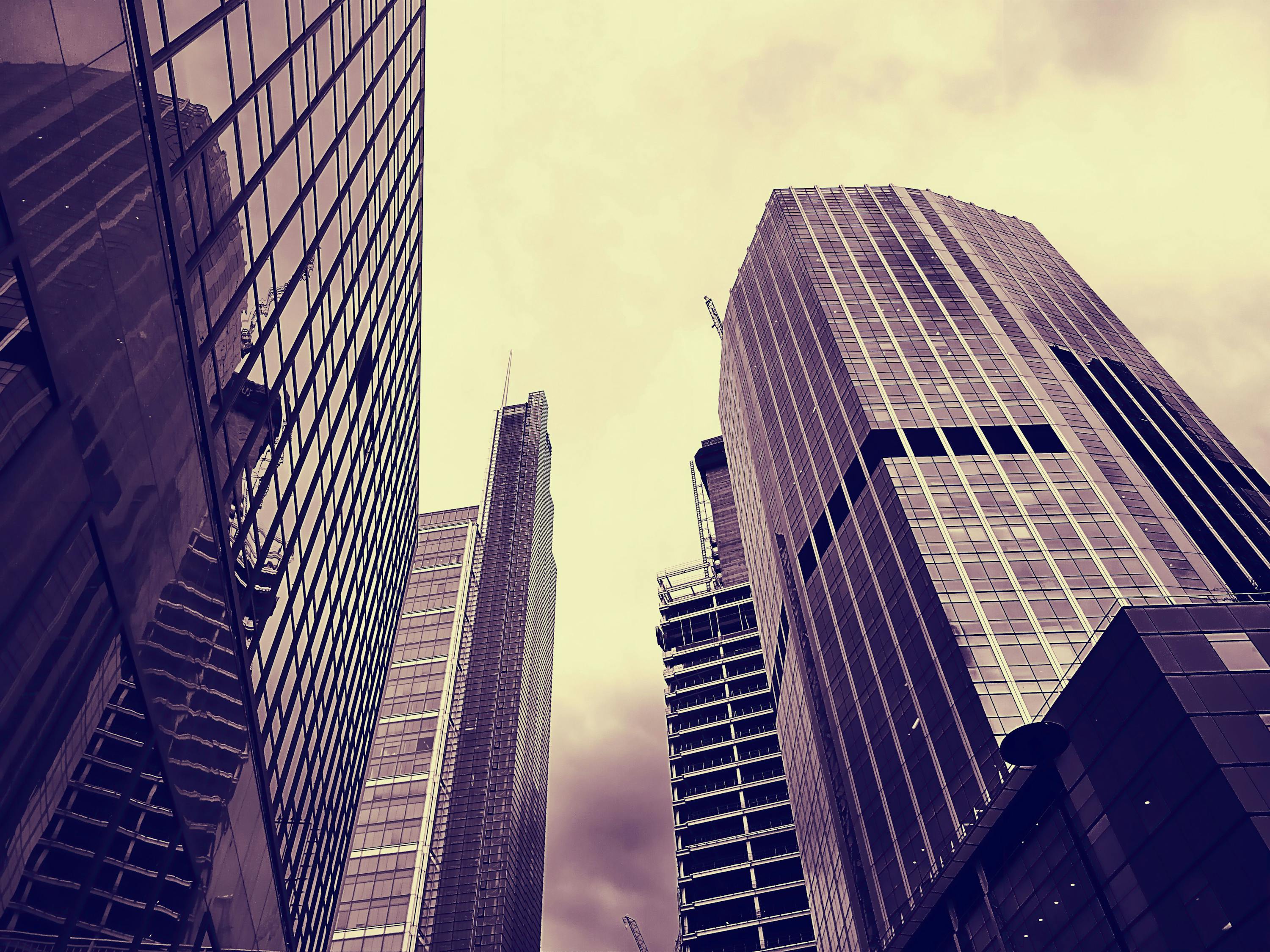 五月平原地区楼房出租最新资讯,市场概览与五月市场动态