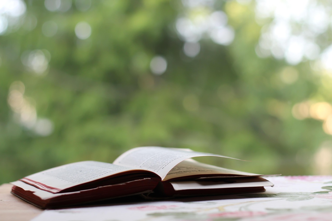 五月电视剧剧本撰写指南