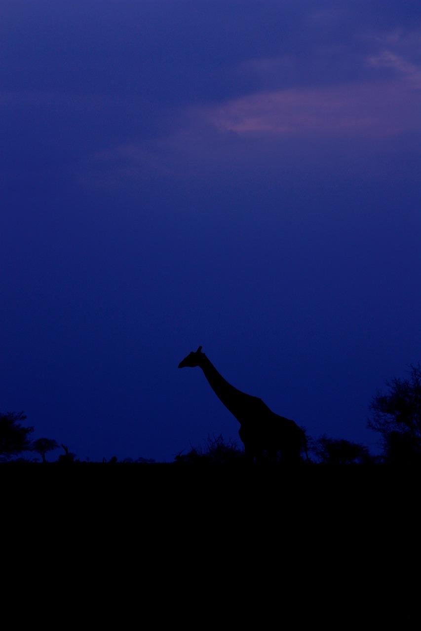 五月黎明新歌发布,探索魅力之旅,新歌绽放