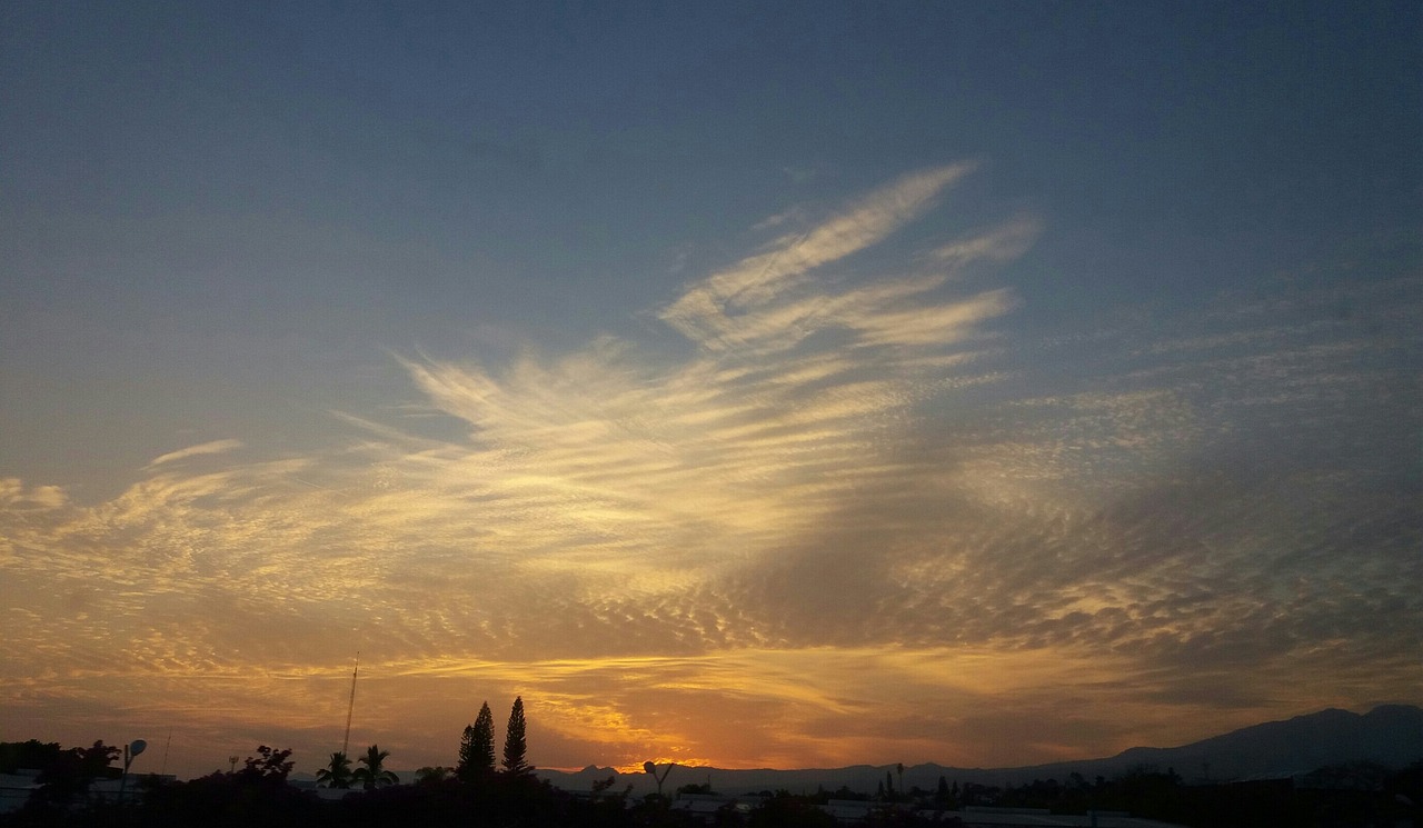 五月黎明新歌发布,探索魅力之旅,新歌绽放