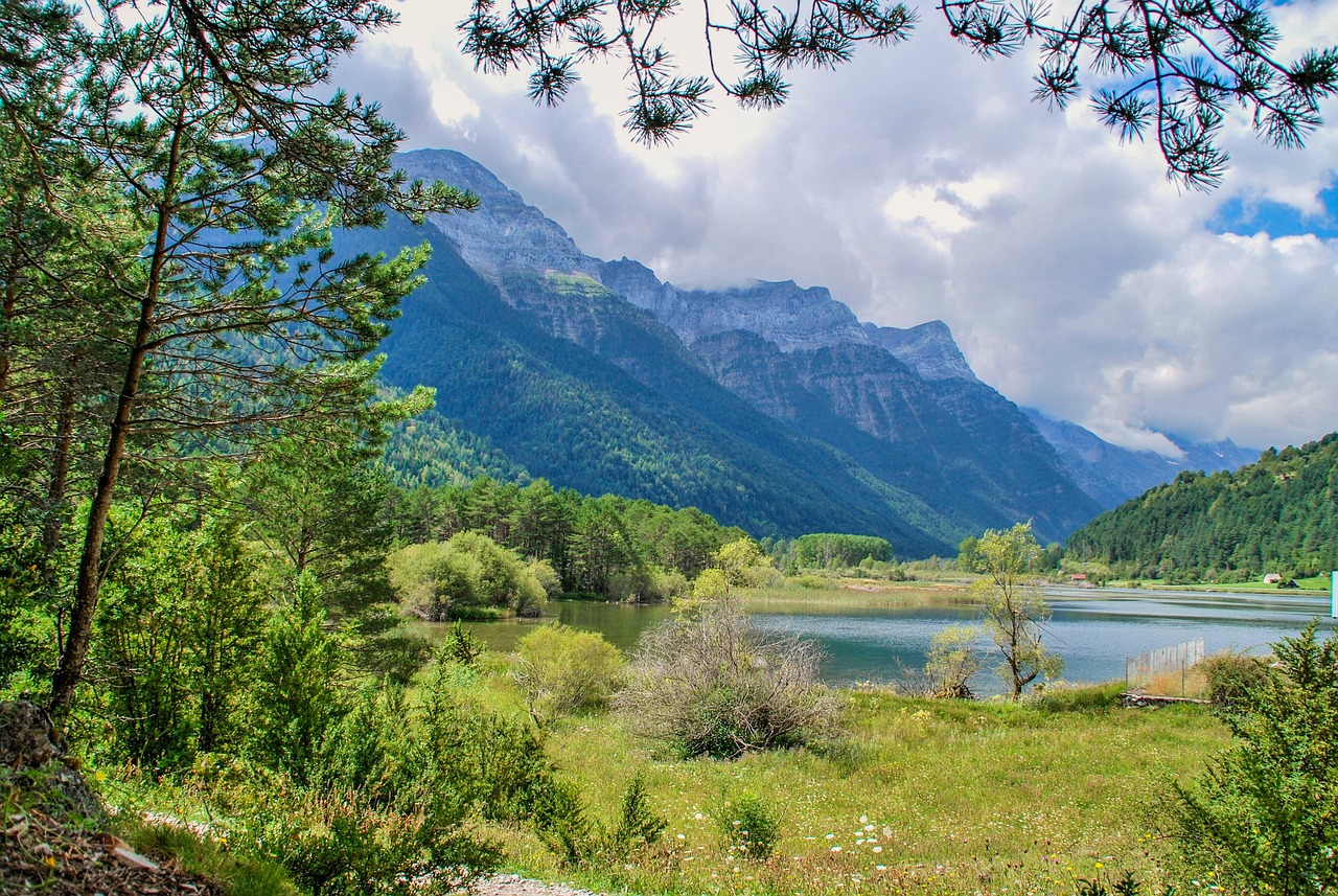 五月大米价格动态走势分析与预测