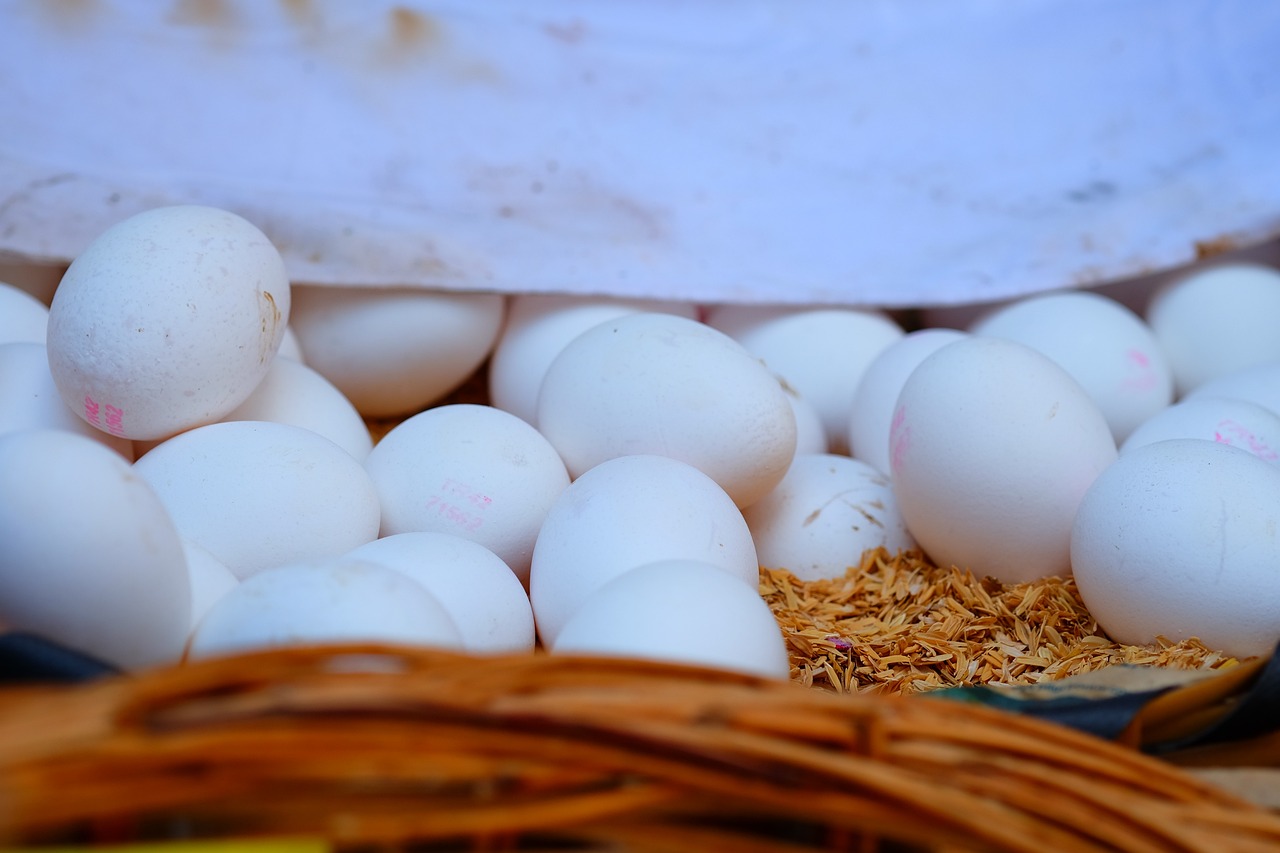 台州废铜价格行情分析,五月最新动态与行情展望